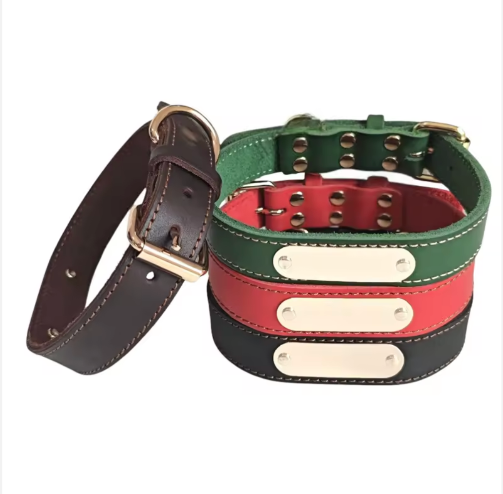 PawPlate Engraved Dog Collar