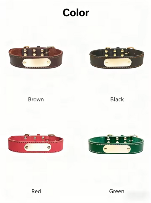 PawPlate Engraved Dog Collar